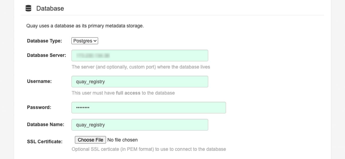 The Database section of the Project Quay setup screen. The Database section of the Project Quay setup screen.