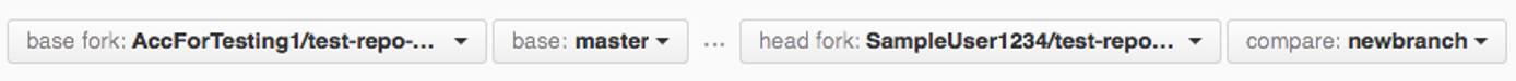 GitHub branch filters.